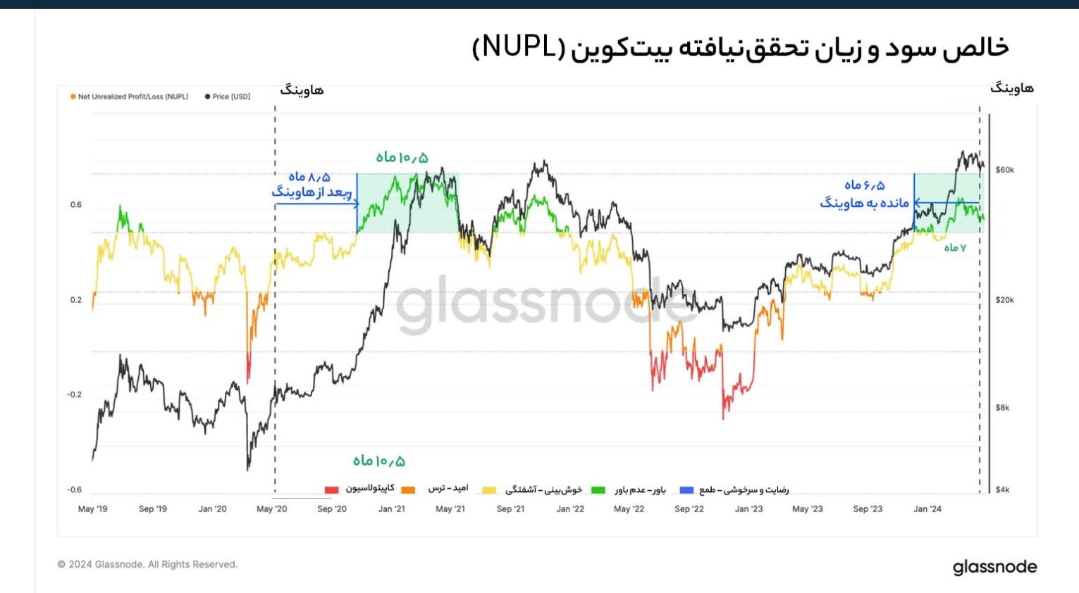 عملکرد شاخص NUPL و دوره‌های مختلف بازار در هاوینگ قبلی بیت کوین تا کنون – Glassnode