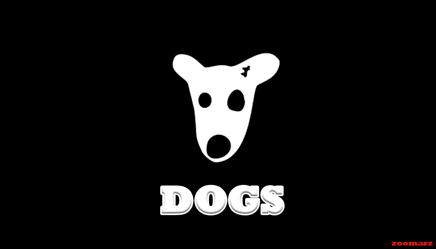 ایردراپ Dogs + آموزش شرکت در ایردراپ Dogs