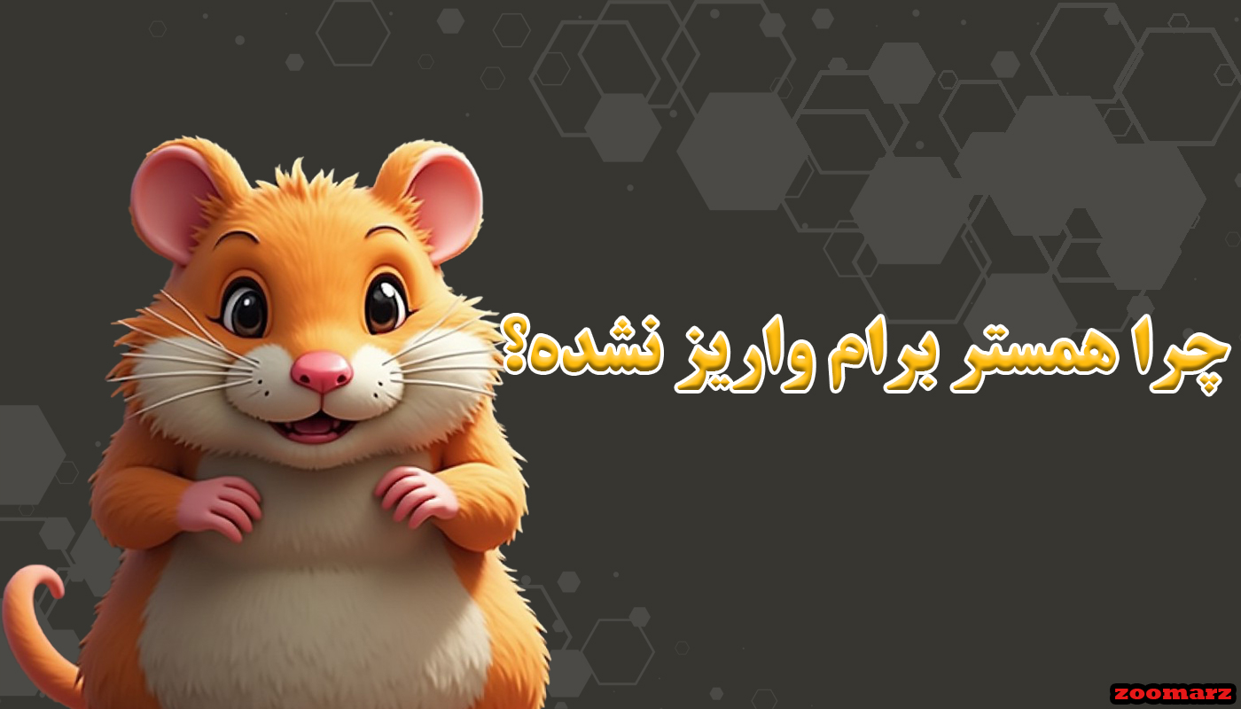 چرا همستر برام واریز نشده؟