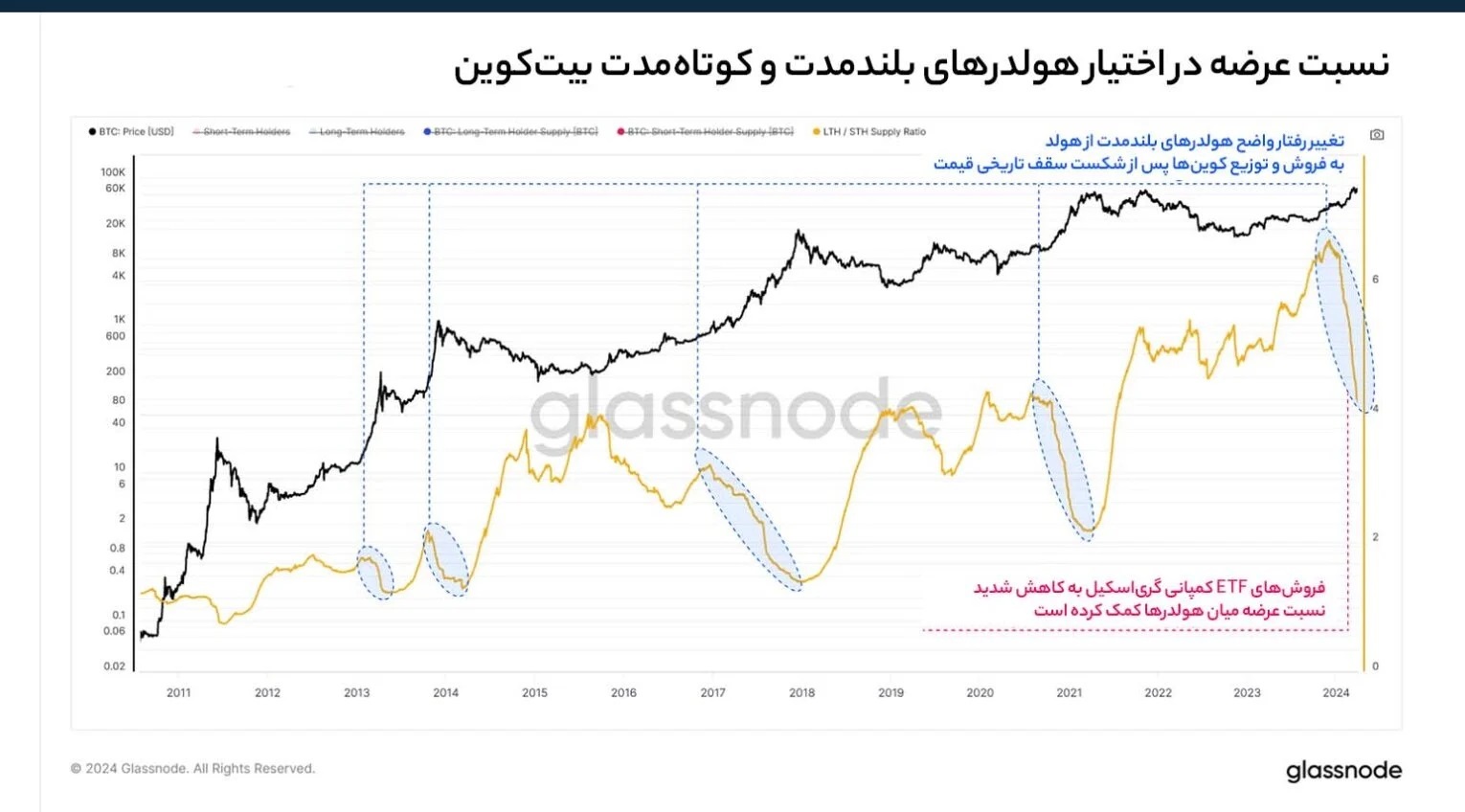 نسبت عرضه در اختیار هولدرهای بلندمدت و کوتاه‌مدت بیت کوین – Glassnode