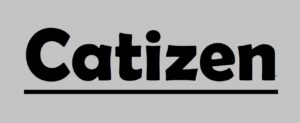 ایردراپ Catizen + آموزش شرکت در ایردراپ Catizen