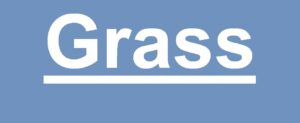 به‌روزرسانی جدید پروژه Grass، نوآوری یا ریسک امنیتی؟❗️