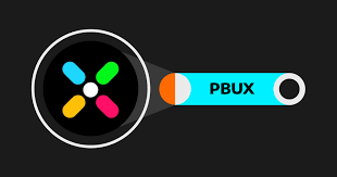 اطلاعاتی درباره رمزارز PBUX