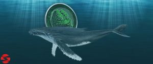 یک نهنگ ۱۴ درصد از ذخایر پپه را به فروش رساند