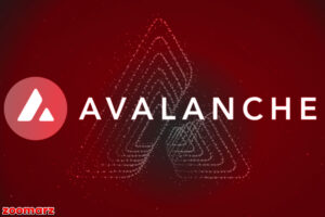 افزایش ۱۶۷ درصدی حجم شبکه‌های L1 Avalanche MOM