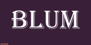 Blum چیست؟ + آموزش شرکت در ایردراپ Blum