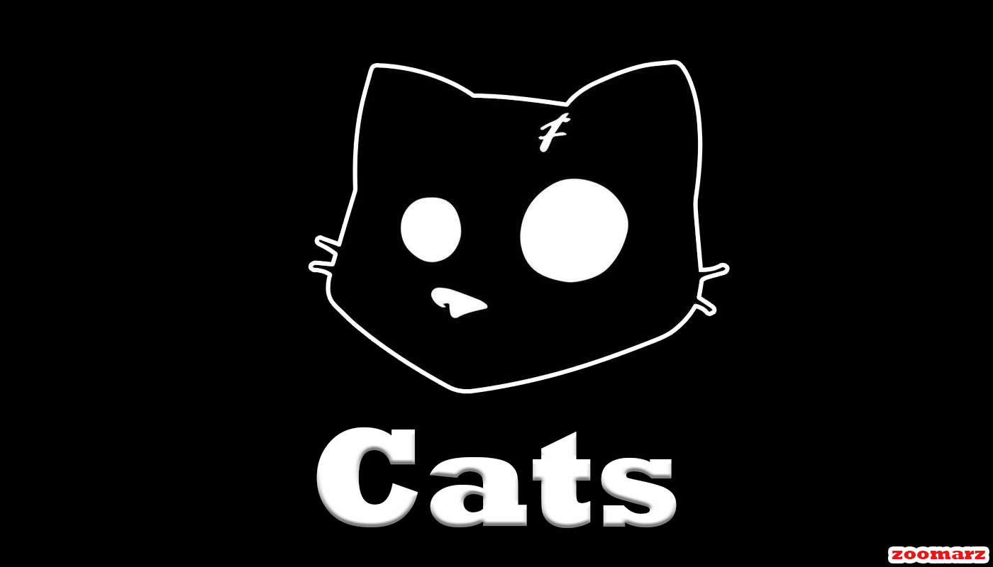 نحوه مشارکت در ایردراپ Cats