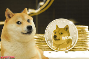 کیف پول‌های خالی Dogecoin در ماه گذشته 13.8 درصد رشد داشتند