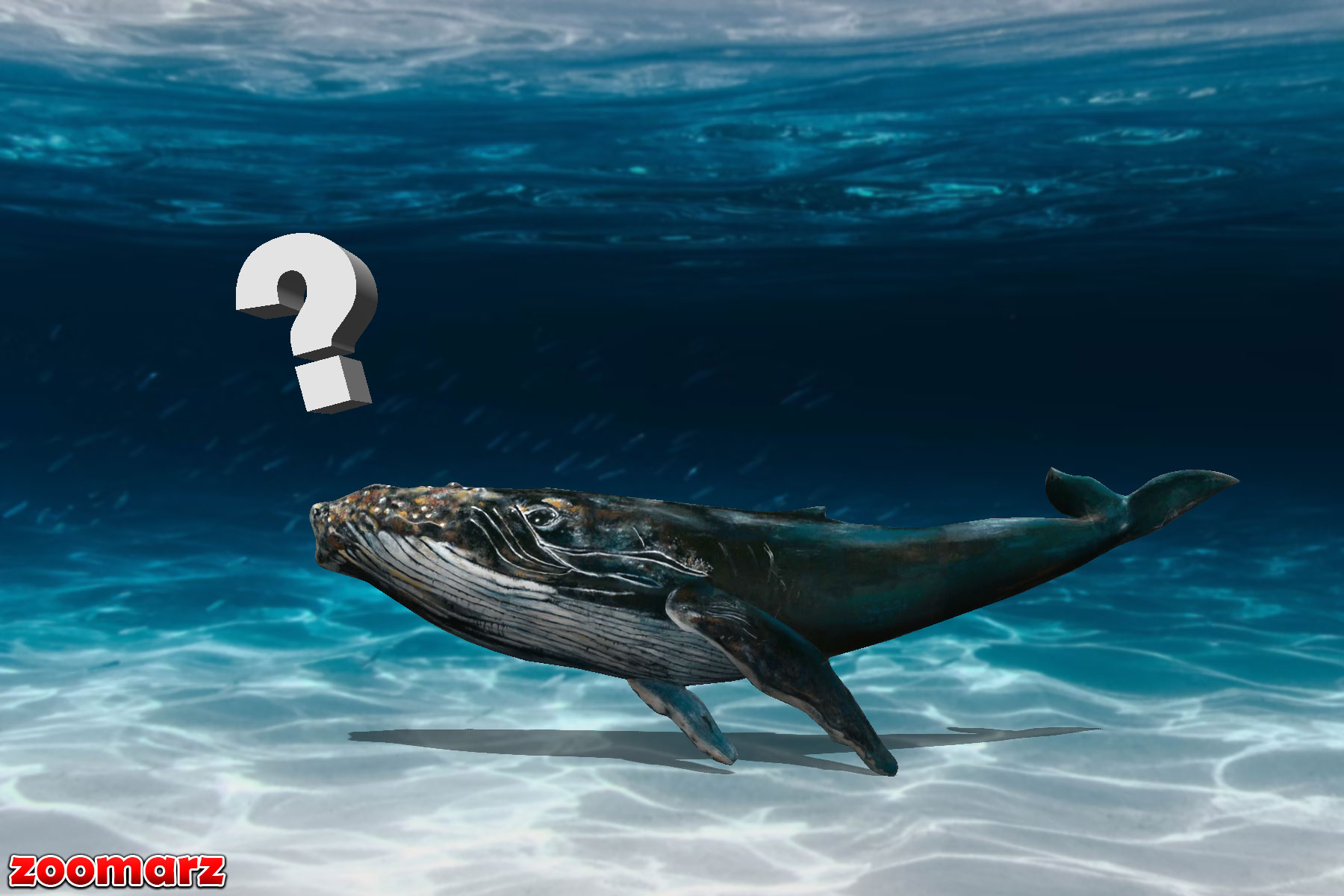 جمع آوری میلیون‌ها دلار از آلت‌کوین‌های مختلف توسط نهنگ تازه کریپتو!💎