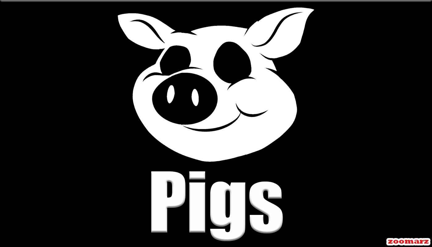 ایردراپ Pigs