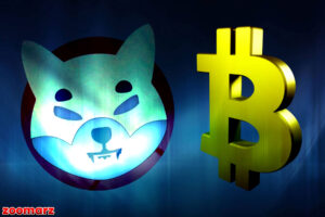 اطلاعیه: آیا شیبا اینو (SHIB) با بیت کوین (BTC) همبستگی منفی دارد؟