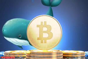 به گفته تحلیلگر، نهنگ‌ها و پول کلان بیت‌کوین ($BTC) همچنان در حالت ریسک قرار دارند