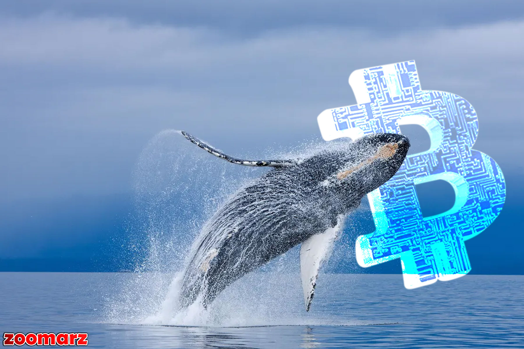 نهنگ خفته بیت کوین پس از افزایش بیش از ۲۴۰۰۰۰ درصدی، ارزش ۲۵ میلیون دلار بیت کوین را جابجا کرد.