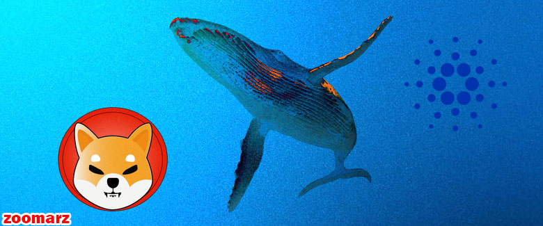 542 میلیارد شیبا توسط یک نهنگ خریداری شد