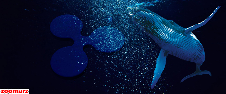 صدها میلیون ریپل توسط نهنگ‌هایی ناشناس منتقل شدند